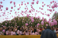 Румыния. Марш «Вместе против рака груди»